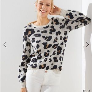 Loft Leopard Jacquard Sweater